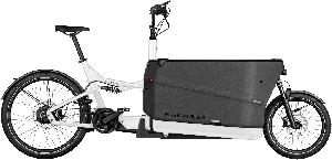 RIESE & MÜLLER Packster2 70 CT vario Buggy RX Kiox