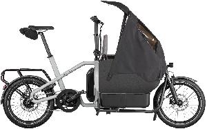 RIESE & MÜLLER Carrie EASY