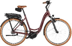 RIESE & MÜLLER Swing5 silent