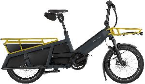 RIESE & MÜLLER Multitinker2 silent