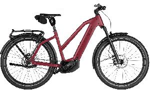 Riese & Müller Charger5 Mixte pinion
