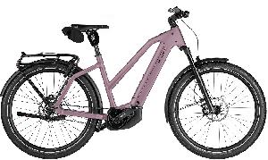 Riese & Müller Charger5 Mixte pinion