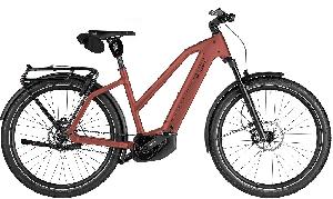 Riese & Müller Charger5 Mixte pinion