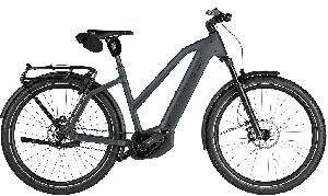 Riese & Müller Charger5 Mixte pinion
