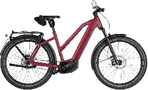 Riese & Müller Charger5 Mixte pinion HS