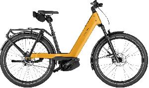 Riese & Müller Nevo5 pinion