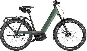 Riese & Müller Nevo5 pinion