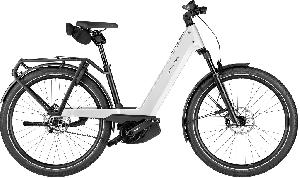 Riese & Müller Nevo5 pinion