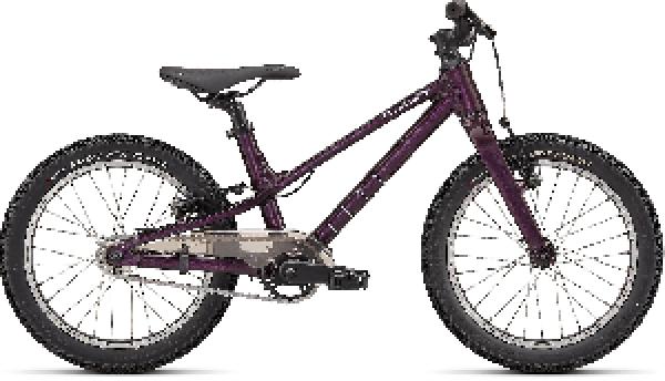 Specialized Jett
