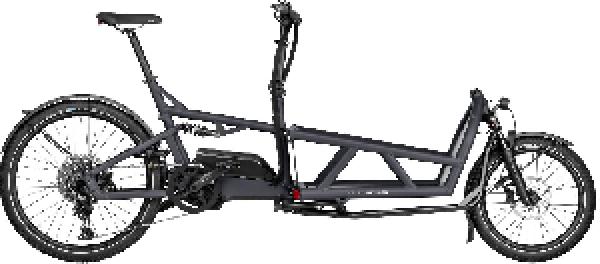 Riese & Müller Load4 60 touring