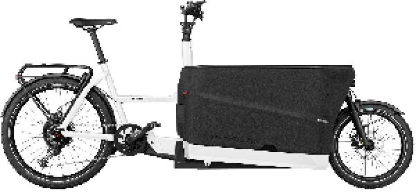 RIESE & MÜLLER Packster2 70 touring RX Performance Kiox