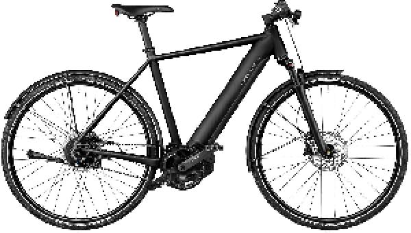 RIESE & MÜLLER Roadster