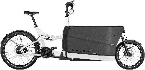 RIESE & MÜLLER Packster2 70 CT vario Buggy RX Kiox