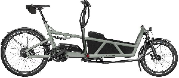 Riese & Müller Load5 60 vario