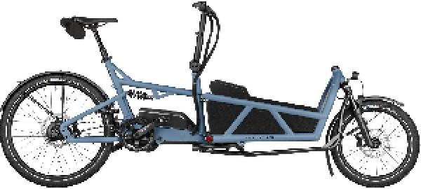 Riese & Müller Load5 60 rohloff