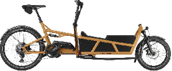 Riese & Müller Load5 75 touring