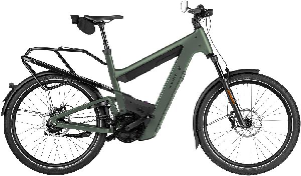 RIESE & MÜLLER Superdelite5 rohloff HS