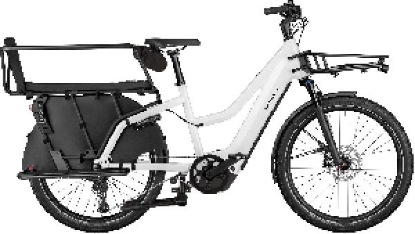 RIESE & MÜLLER Multicharger3 Mixte FAMILY
