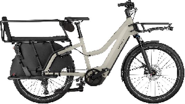 RIESE & MÜLLER Multicharger3 Mixte FAMILY