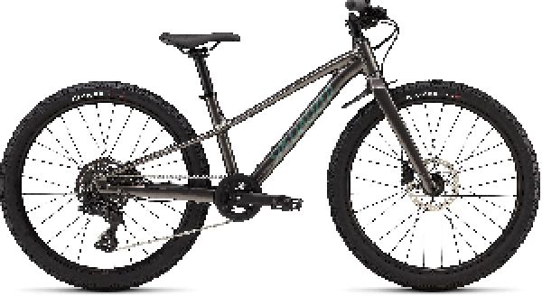 Specialized RIPROCK 24 INT