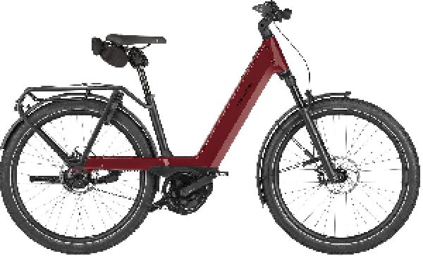 RIESE & MÜLLER Nevo5 rohloff