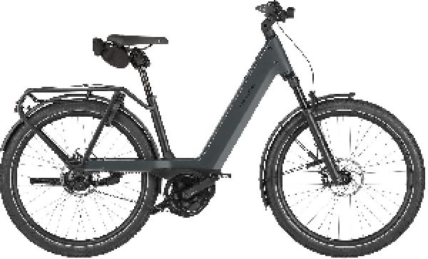 RIESE & MÜLLER Nevo5 rohloff