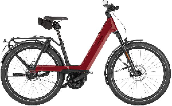 RIESE & MÜLLER Nevo5 rohloff HS