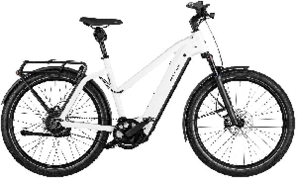 Riese & Müller Charger4 Mixte GT vario