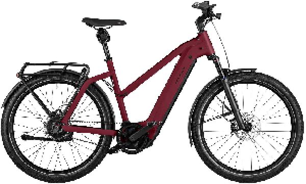 Riese & Müller Charger4 Mixte GT vario