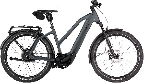 Riese & Müller Charger5 Mixte vario