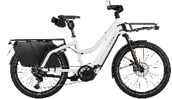 Riese & Müller Multicharger3 Mixte touring HS
