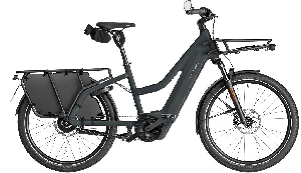 Riese & Müller Multicharger3 Mixte vario HS