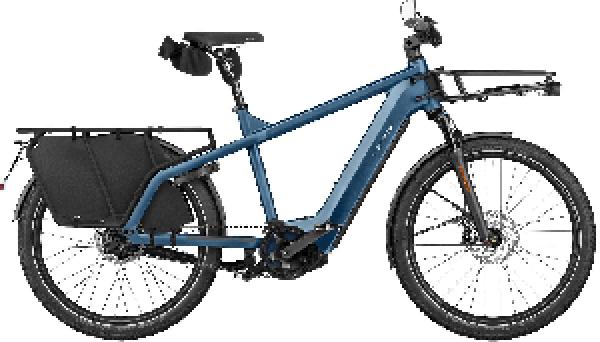 Riese & Müller Multicharger3 rohloff HS