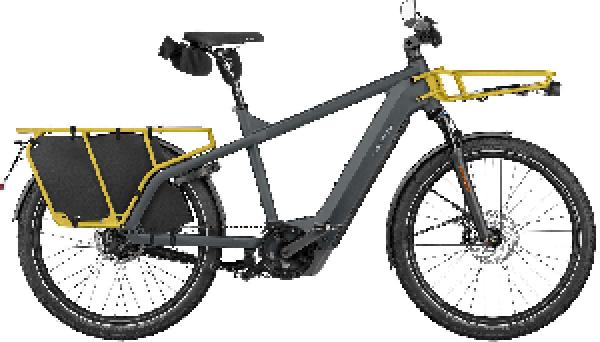 Riese & Müller Multicharger3 rohloff HS