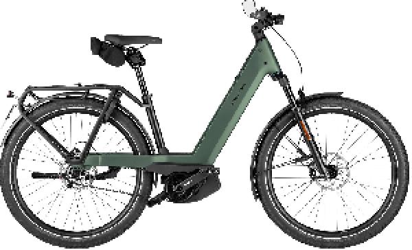 Riese & Müller Nevo5 pinion HS