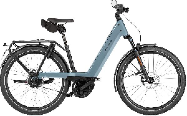 Riese & Müller Nevo5 vario HS