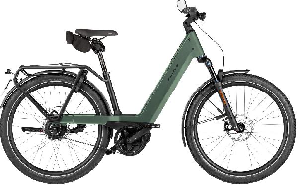 Riese & Müller Nevo5 vario HS