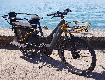 Testbike Riese & Müller 